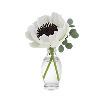 Minimalist White Orchids
