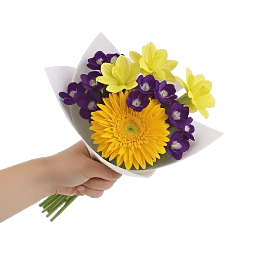 Golden Petal Harmony