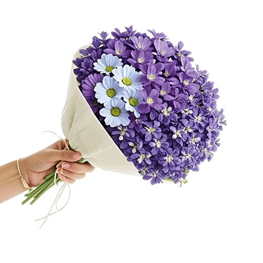 Delicate Petal Cascade