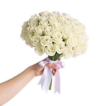 Pastel Pink Roses