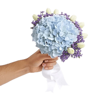 Serene Garden Harmony