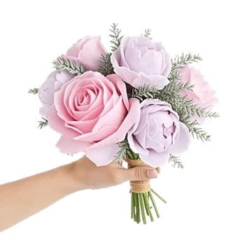 Pastel Pink Roses