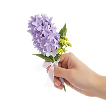 Minimalist White Orchids