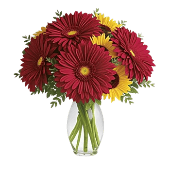 Crimson Blossom Harmony