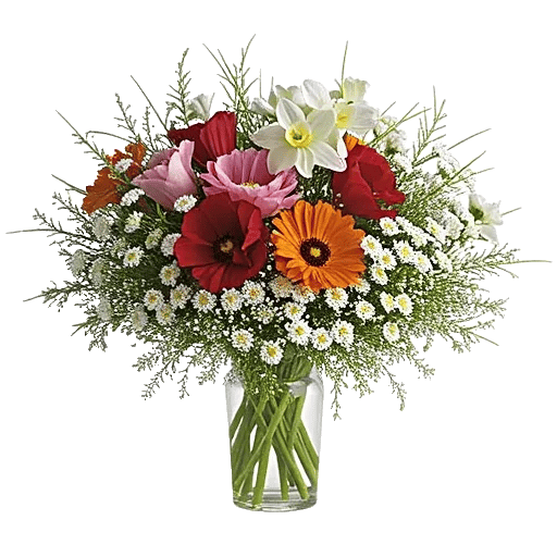 Petal Radiance Bliss