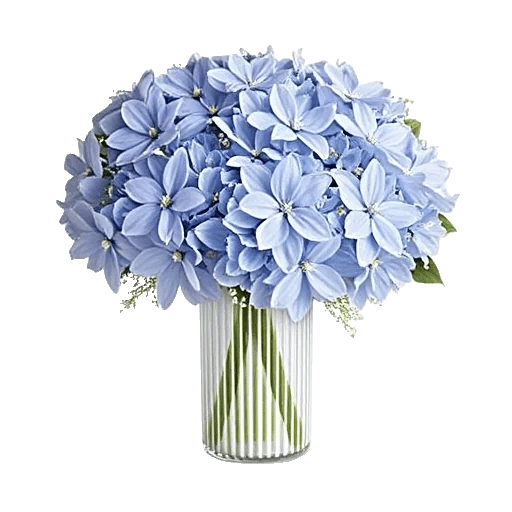 Sapphire Bloom Whisper