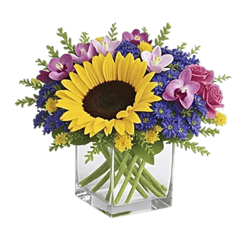 Radiant Bloom Cascade