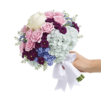 Serene Petal Harmony