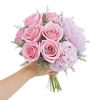 Pastel Pink Roses