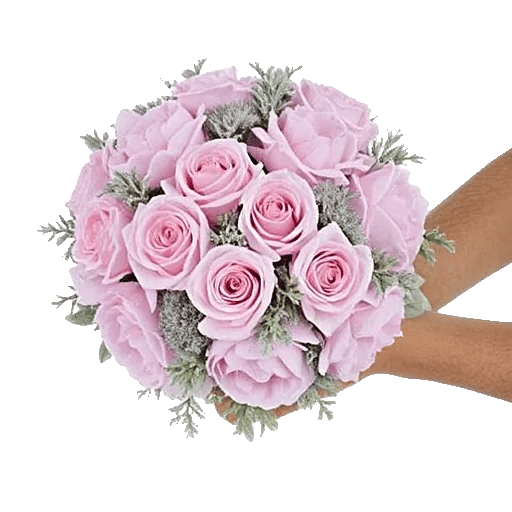 Pastel Pink Roses