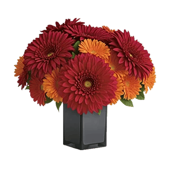 Crimson Blossom Harmony