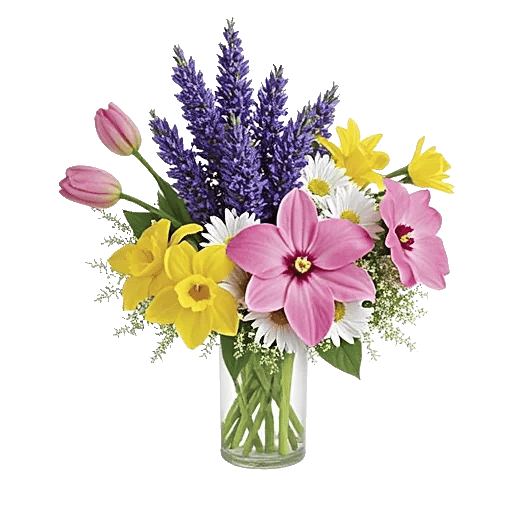 Ivory Blossom Radiance