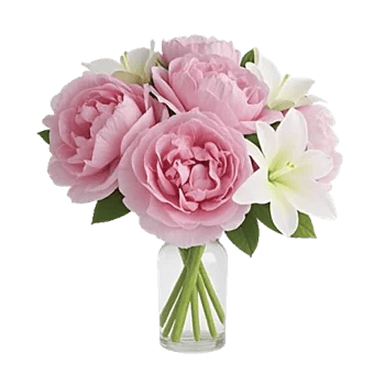 Ivory Blossom Radiance