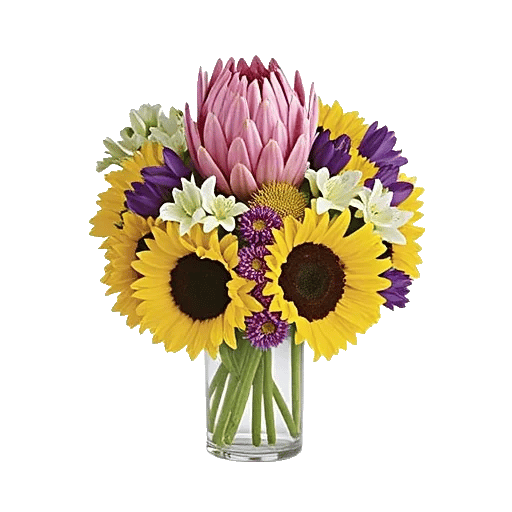 Ivory Blossom Radiance