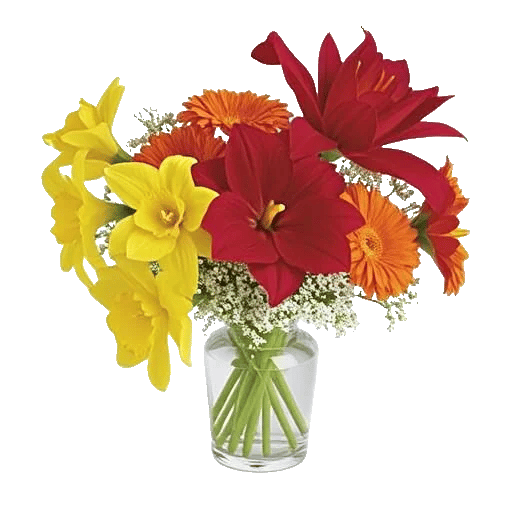 Petal Radiance Bliss