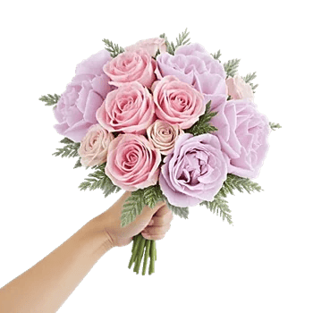 Pastel Pink Roses