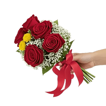 Crimson Rose Elegance