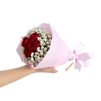 Crimson Rose Elegance