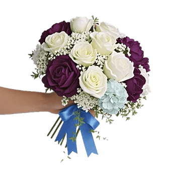 Serene Petal Harmony