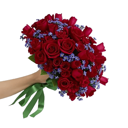 Crimson Rose Elegance