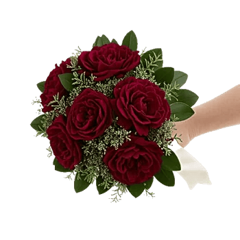 Elegant Calla Lilies