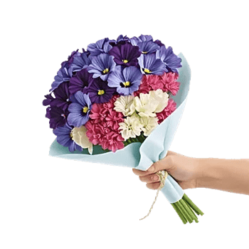 Blossom Petal Serenity