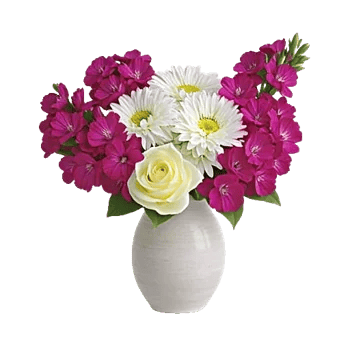 Petal Radiance Bliss