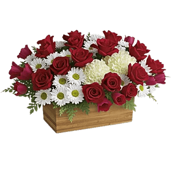 Crimson Blossom Harmony