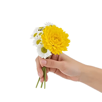 Delicate Petal Cascade