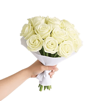 Ivory Garden Grace