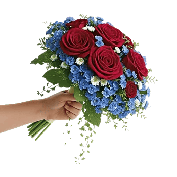 Blushing Rose Symphony