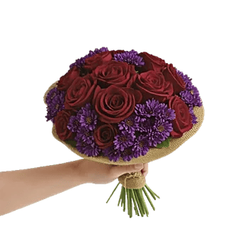 Crimson Rose Elegance