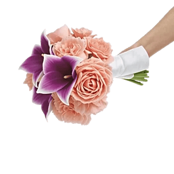 Peony Petal Harmony