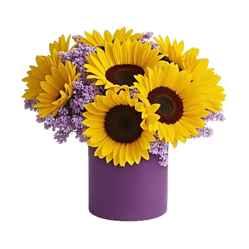 Radiant Bloom Cascade