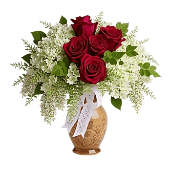 Ivory Blossom Radiance