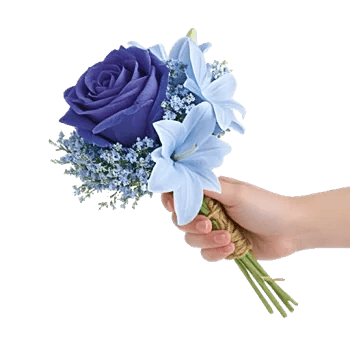 Elegant Blue Roses