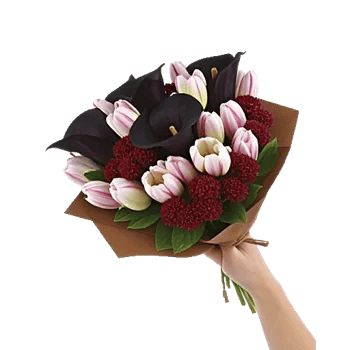 Elegant Calla Lilies