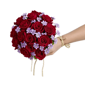 Blushing Rose Symphony