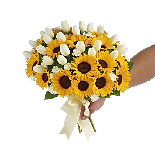 Blossom Harmony Display