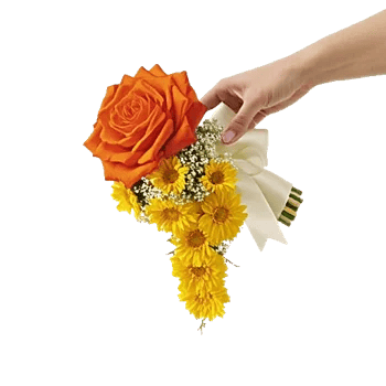 Radiant Bloom Cascade