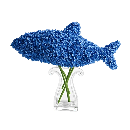 Sapphire Bloom Whisper