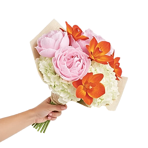 Petal Grace Harmony