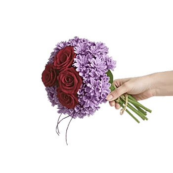 Crimson Rose Elegance