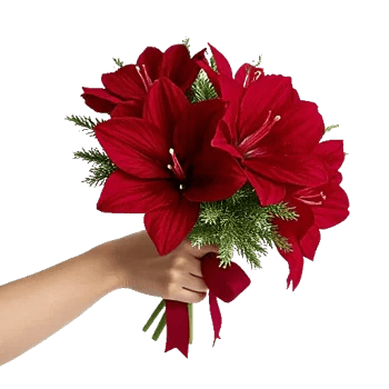 Crimson Rose Elegance