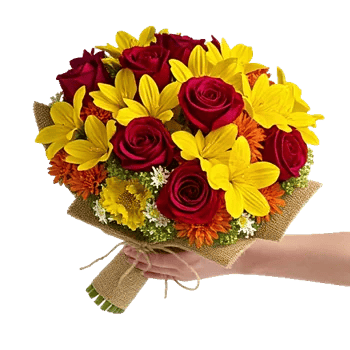Crimson Rose Elegance