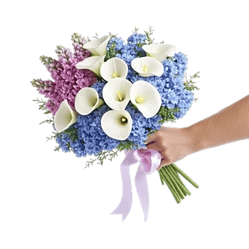 Lavender Bloom Grace