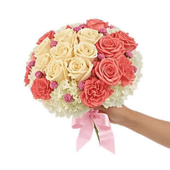 Pastel Pink Roses