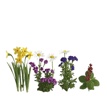 Crisp Spring Blooms