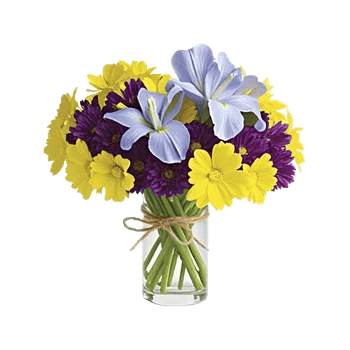 Ivory Blossom Radiance