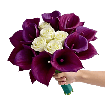 Elegant Calla Lilies